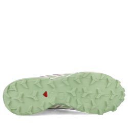 Взуття Salomon Speedcross 6 W - сірий/зелений