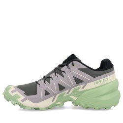 Взуття Salomon Speedcross 6 W - сірий/зелений