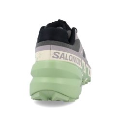 Взуття Salomon Speedcross 6 W - сірий/зелений