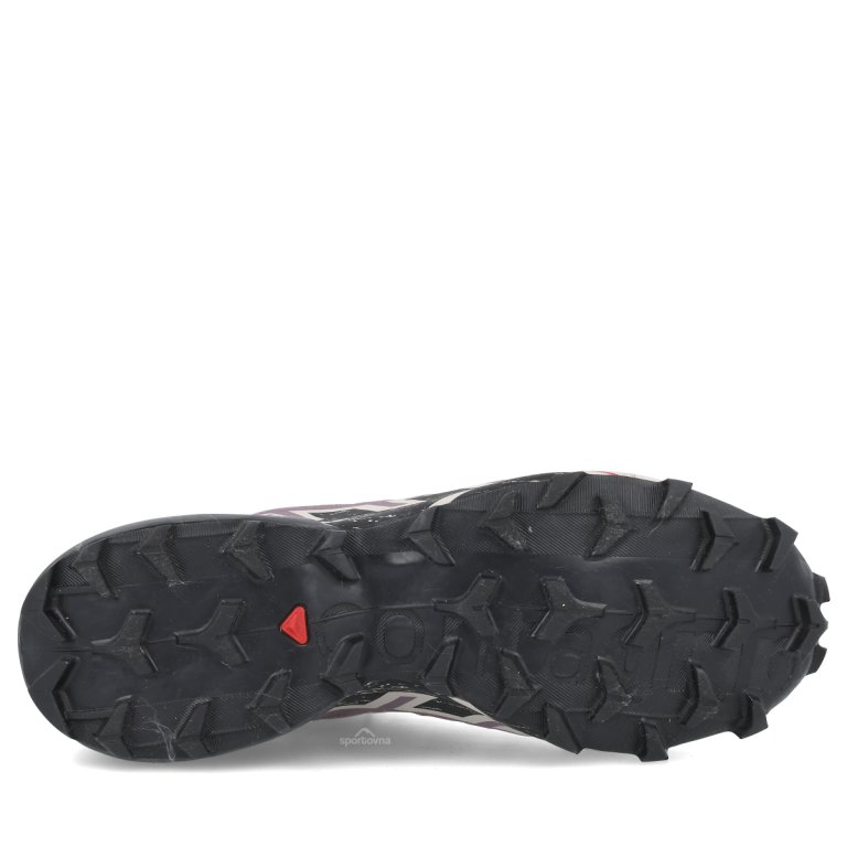 Взуття Salomon Speedcross 6 Wide W - фіолетовий/сірий