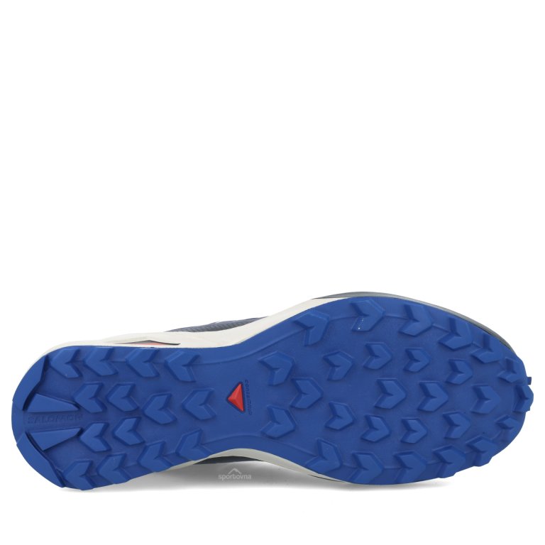 Кросівки Salomon Speedcross Peak M - сині