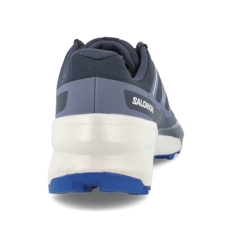 Кросівки Salomon Speedcross Peak M - сині