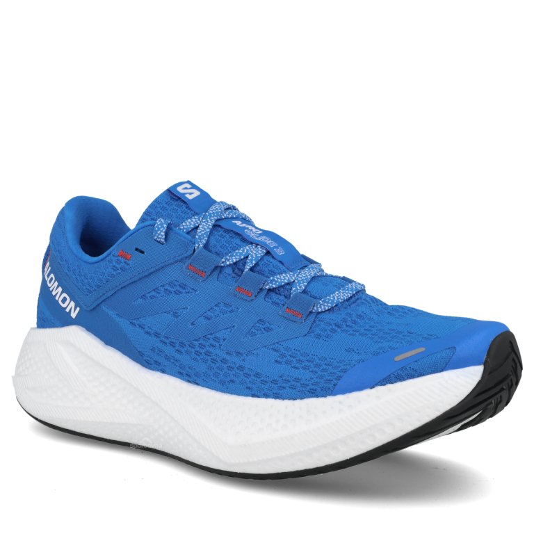 Кросівки Salomon Aero Glide 3 M - синій/білий/червоний