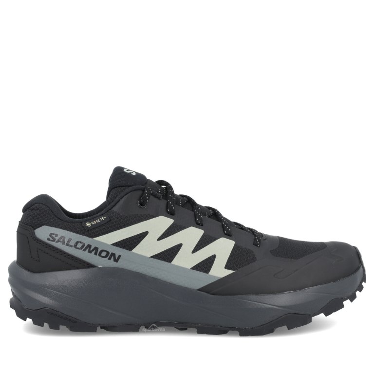 Взуття Salomon Outscape GTX M - синє