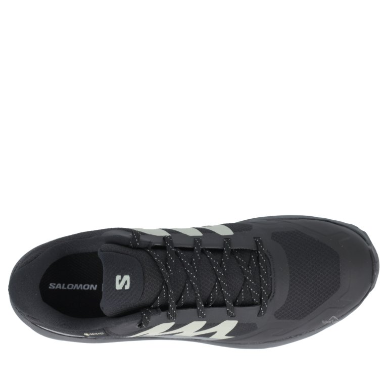 Взуття Salomon Outscape GTX M - синє