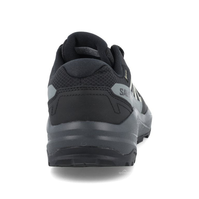 Взуття Salomon Outscape GTX M - синє