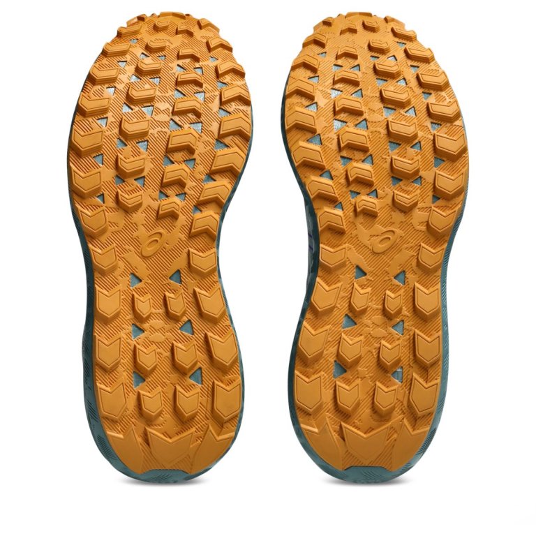 Кросівки Asics Gel-Sonoma 8 W - сині