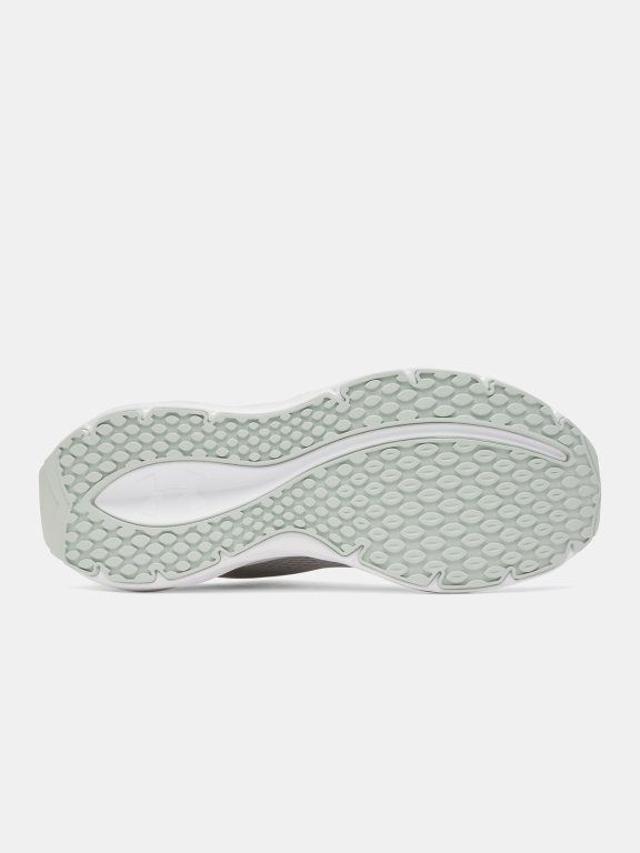 Obuv Under Armour Ascend Wmn Grey