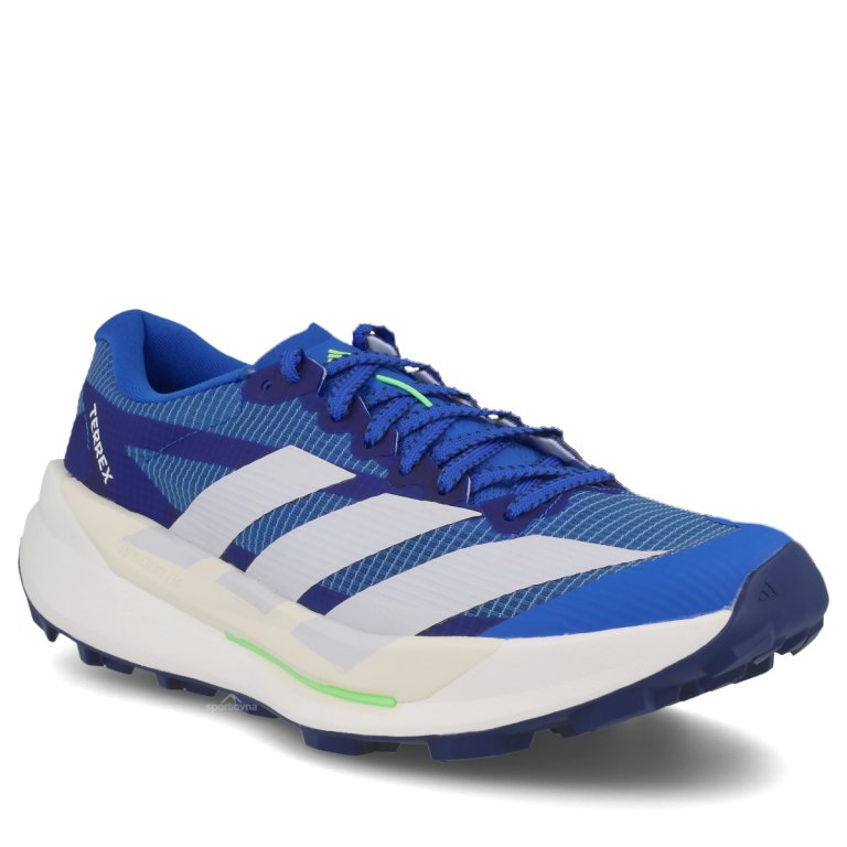 Кросівки Adidas Terrex Agravic TT M - синьо/білі