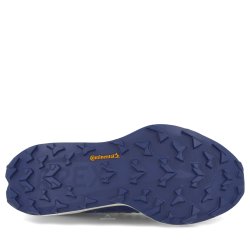 Кросівки Adidas Terrex Agravic TT M - синьо/білі