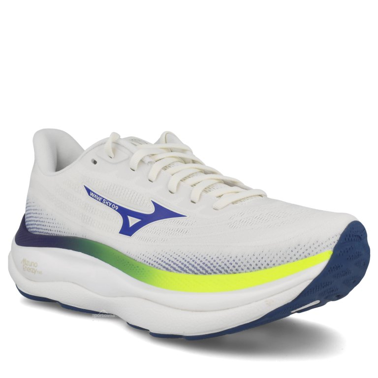 Кросівки Mizuno Wave Sky 9 M - синя