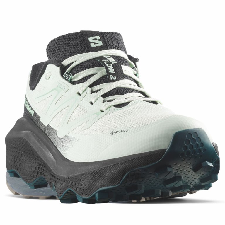 Obuv Salomon Ultra Flow 2 Gtx W - světle modrá/černá
