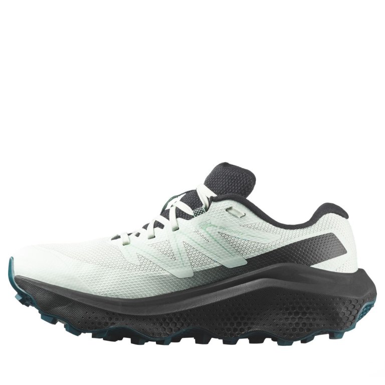 Obuv Salomon Ultra Flow 2 Gtx W - světle modrá/černá