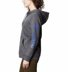 Толстовка Columbia Logo Full Zip W - сірий