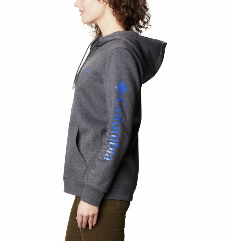 Толстовка Columbia Logo Full Zip W - сірий