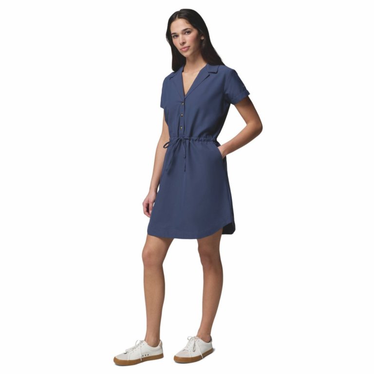 Šaty Columbia Cedar Crest™ Dress W - modrá