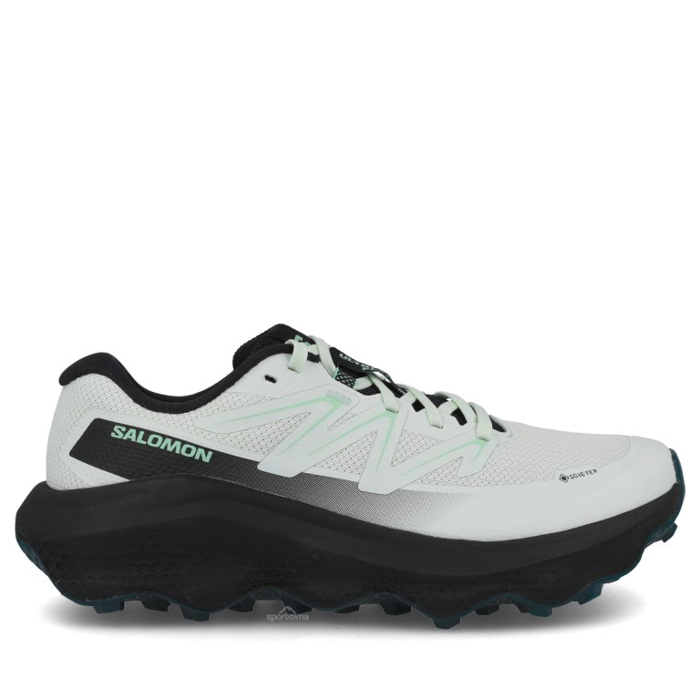 Obuv Salomon Ultra Flow 2 Gtx W - svetlo modrá/čierna