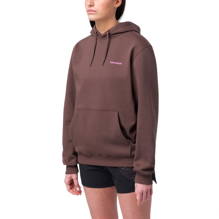 Mikina Salomon Shortney Hoodie – hnedá