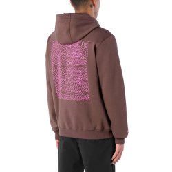 Mikina Salomon Shortney Hoodie – hnedá
