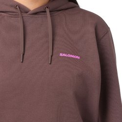 Mikina Salomon Shortney Hoodie – hnedá