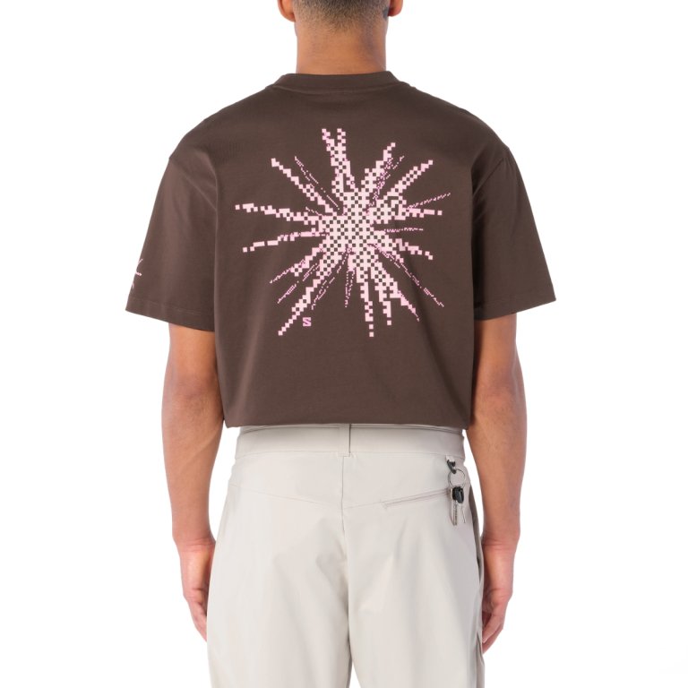 Tričko Salomon Grvl Relaxed SS Tee M - hnědá