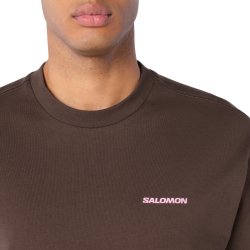 Tričko Salomon Grvl Relaxed SS Tee M - hnědá