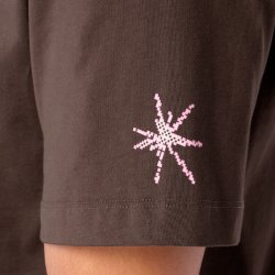 Tričko Salomon Grvl Relaxed SS Tee M - hnědá