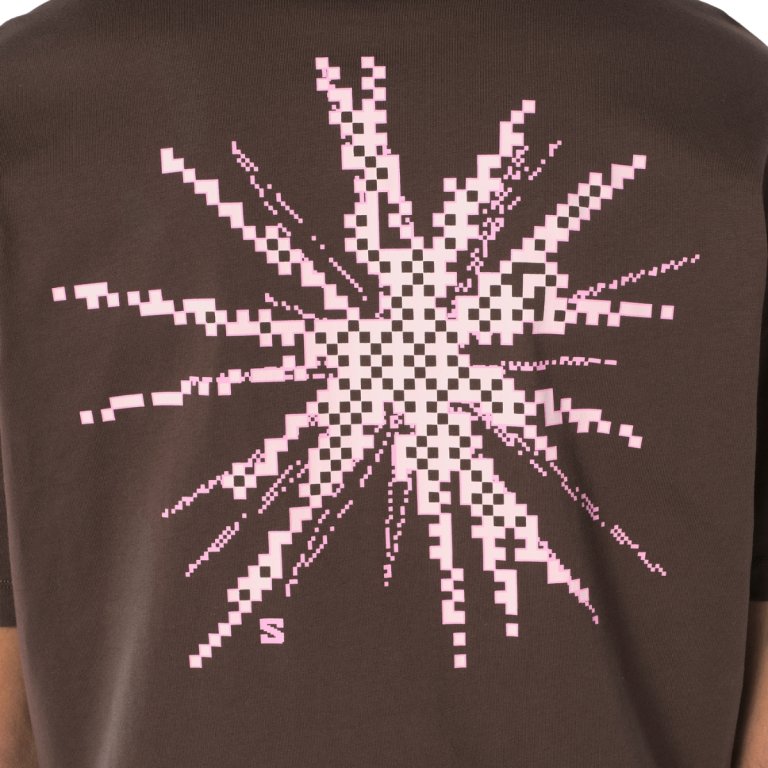 Tričko Salomon Grvl Relaxed SS Tee M - hnědá