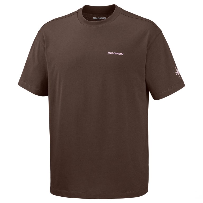 Tričko Salomon Grvl Relaxed SS Tee M - hnědá