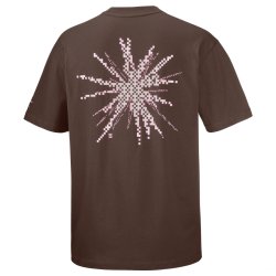 Tričko Salomon Grvl Relaxed SS Tee M - hnědá