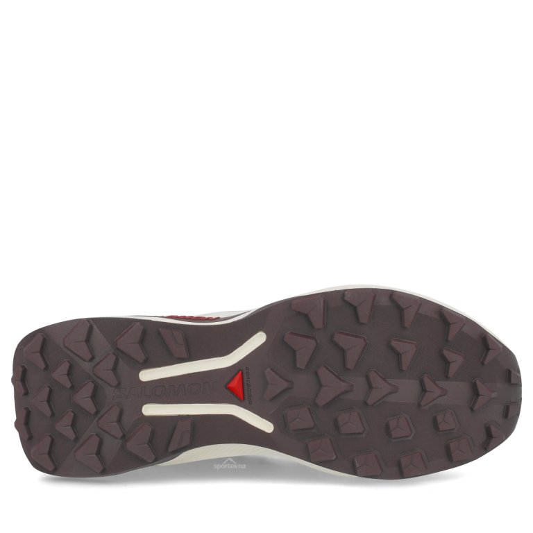 Obuv Salomon Genesis 2 W - bílá/fialová