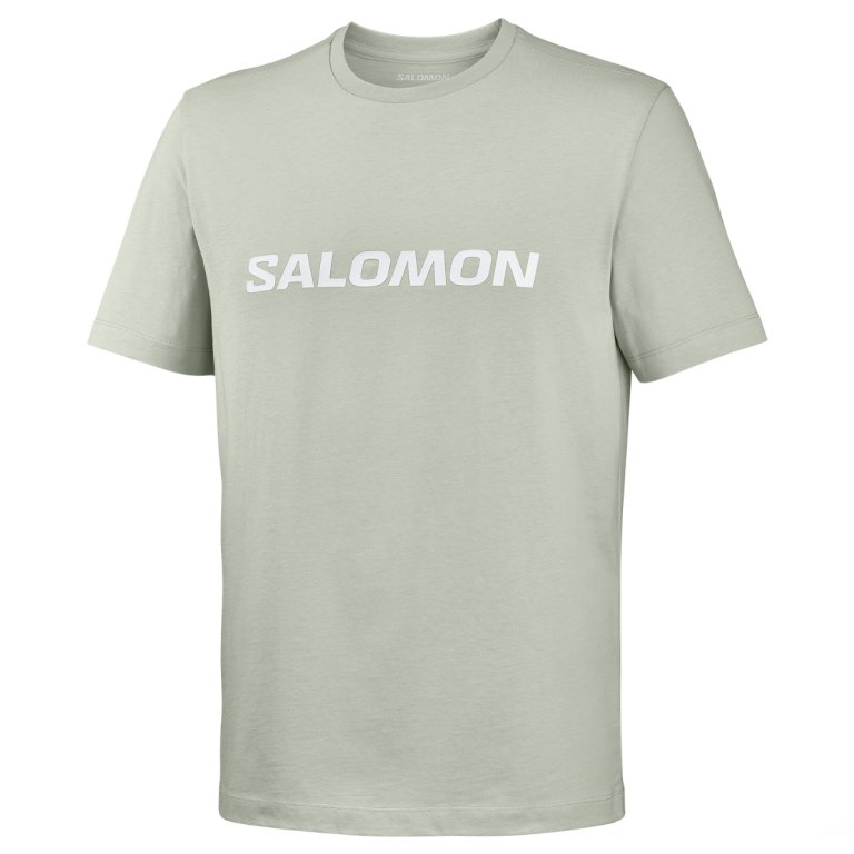 Tričko Salomon Logo SS Tee M – šedá