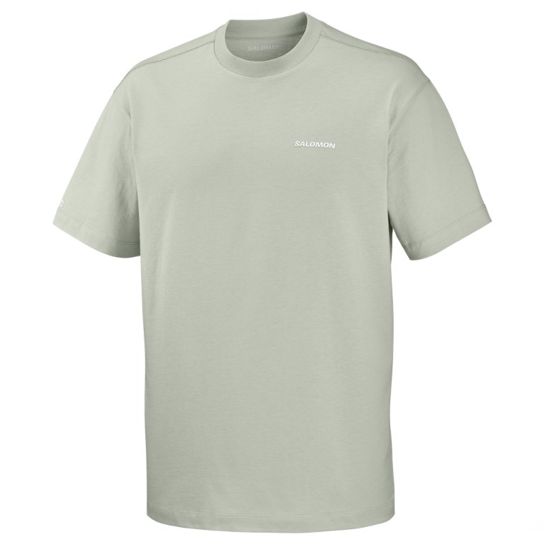 Tričko Salomon Chest Logo Relaxed Tee M – šedá