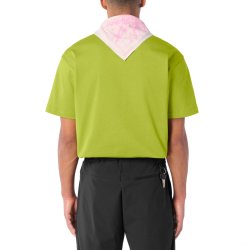 Tričko Salomon Brandplay RX SS Tee M - zelená