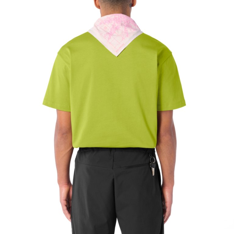 Tričko Salomon Brandplay RX SS Tee M - zelená