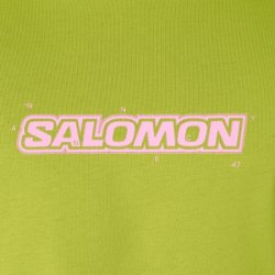 Tričko Salomon Brandplay RX SS Tee M - zelená