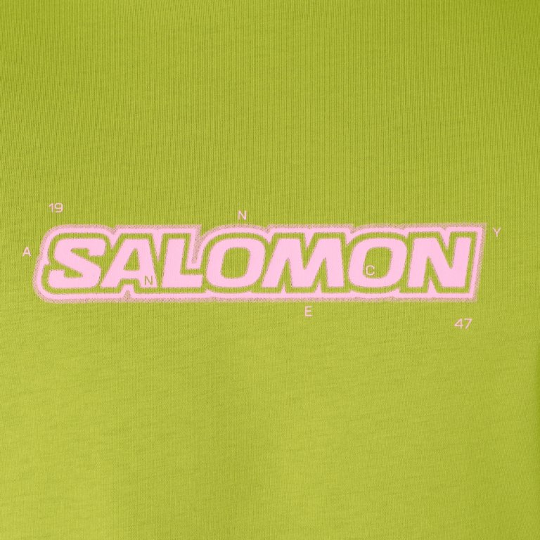 Tričko Salomon Brandplay RX SS Tee M - zelená