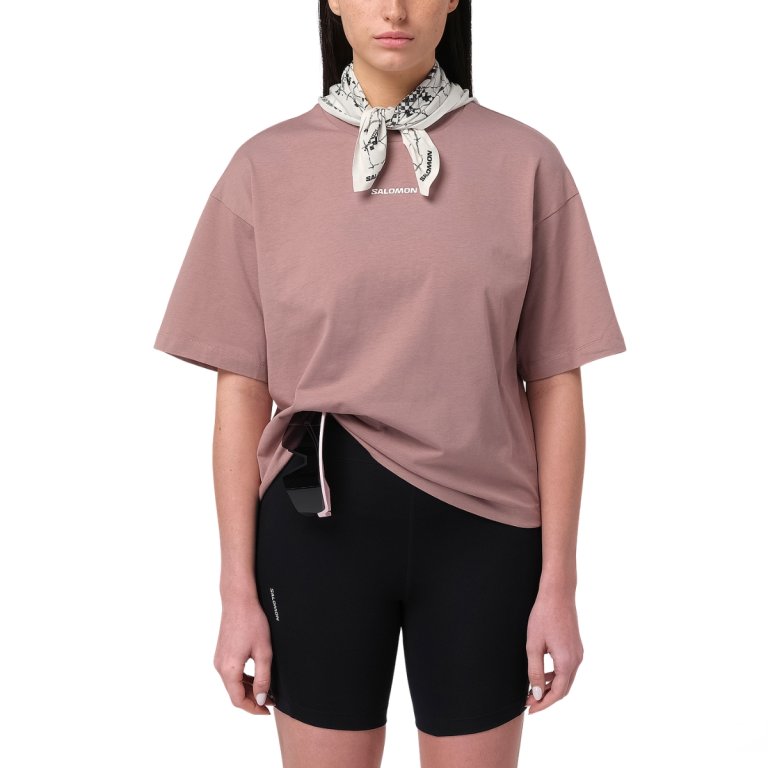 Tričko Salomon Logo SS Tee W – hnedé