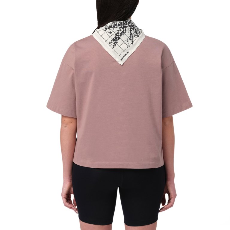 Tričko Salomon Logo SS Tee W – hnedé