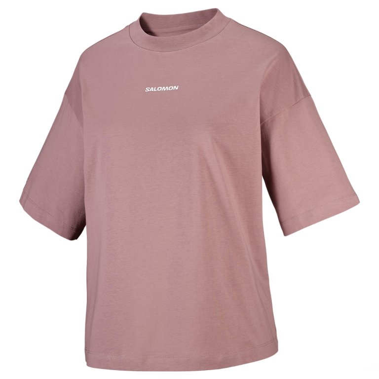 Tričko Salomon Logo SS Tee W – hnedé