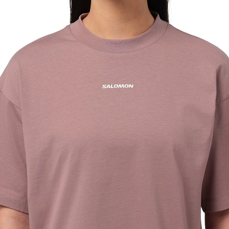 Tričko Salomon Logo SS Tee W – hnedé
