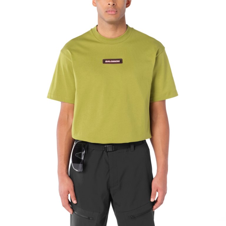 Tričko Salomon Venom Rlx SS Tee M - zelená