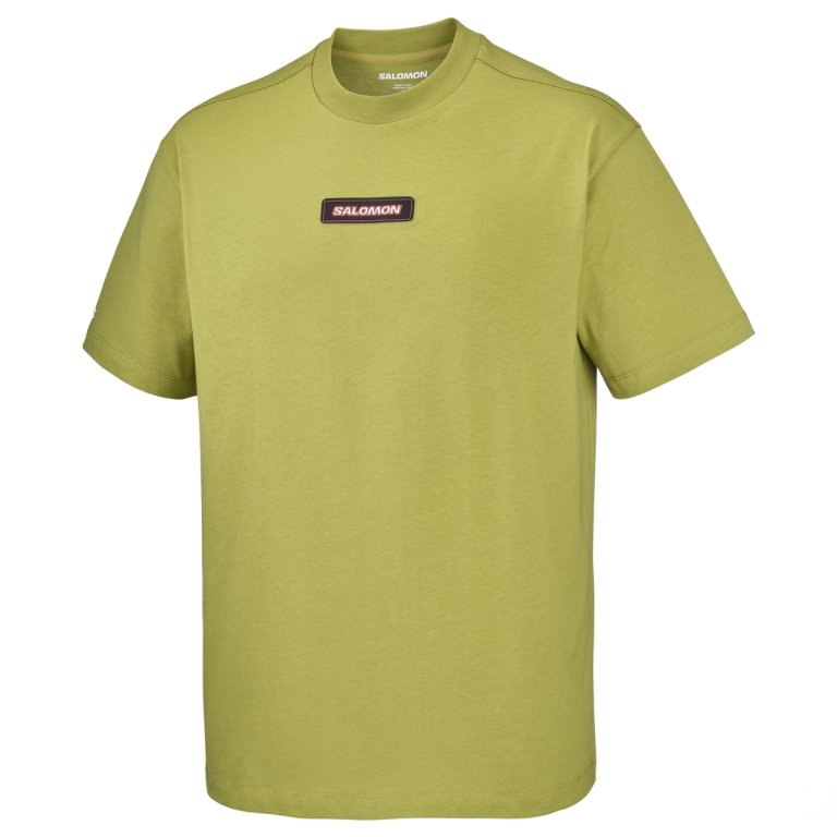 Tričko Salomon Venom Rlx SS Tee M - zelená