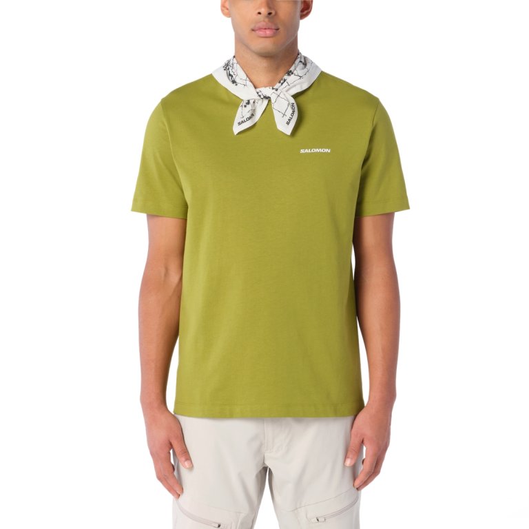 Tričko Salomon Chest Logo Regular Tee M – zelená