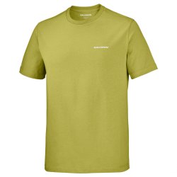 Tričko Salomon Chest Logo Regular Tee M – zelená