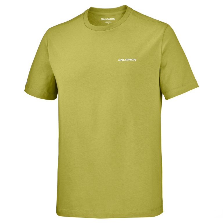 Tričko Salomon Chest Logo Regular Tee M – zelená