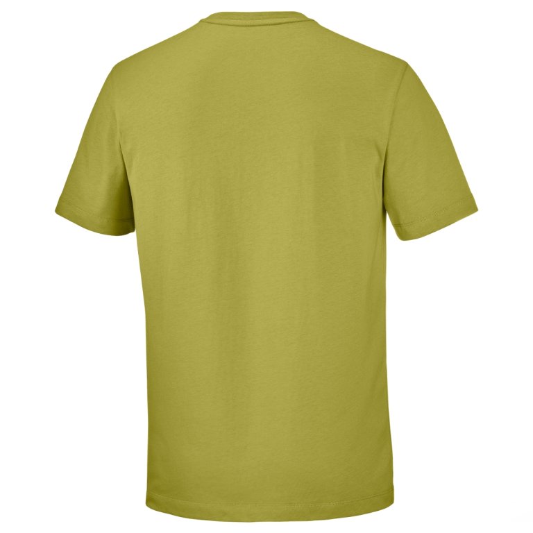 Tričko Salomon Chest Logo Regular Tee M – zelená