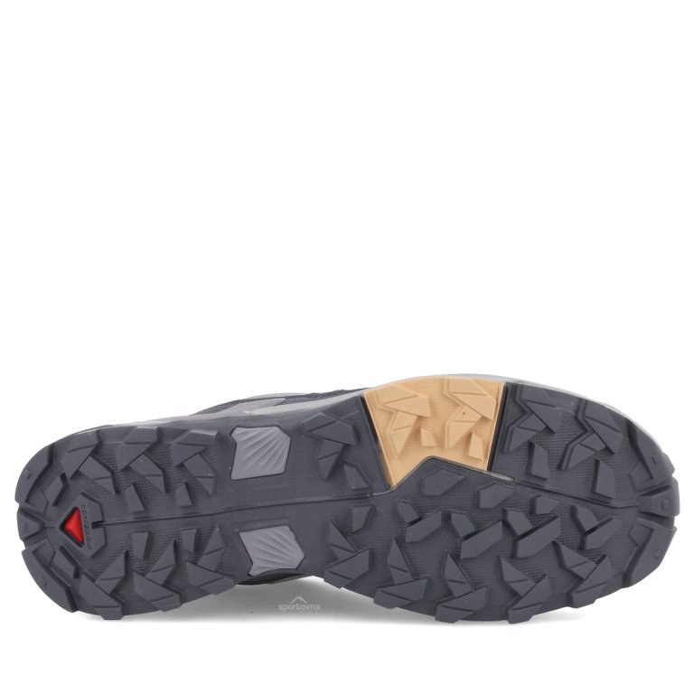 Obuv Salomon X Ultra 5 GTX W - šedá