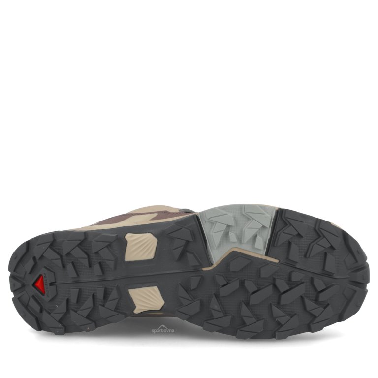 Obuv Salomon X Ultra 5 Gtx W - béžová/hnedá