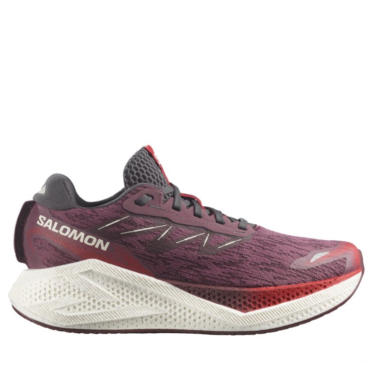 Topánky Salomon Aero Glide 4 W – fialové
